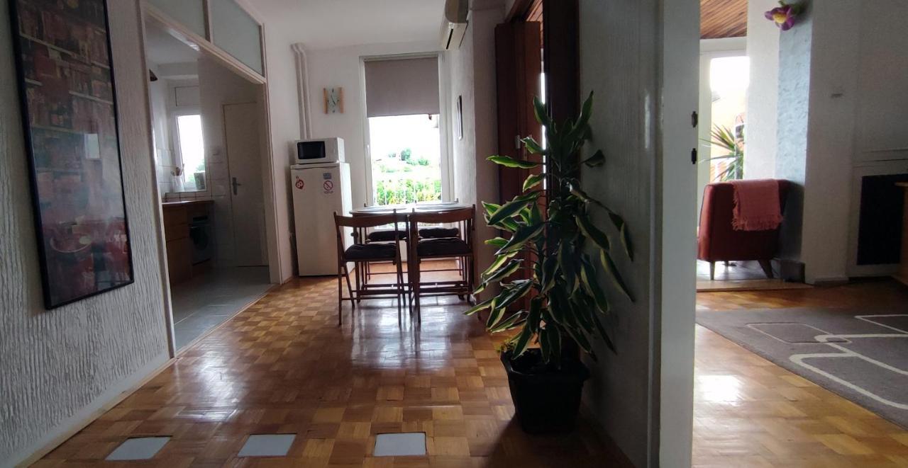 Sokolov Apartment Smederevo Bagian luar foto