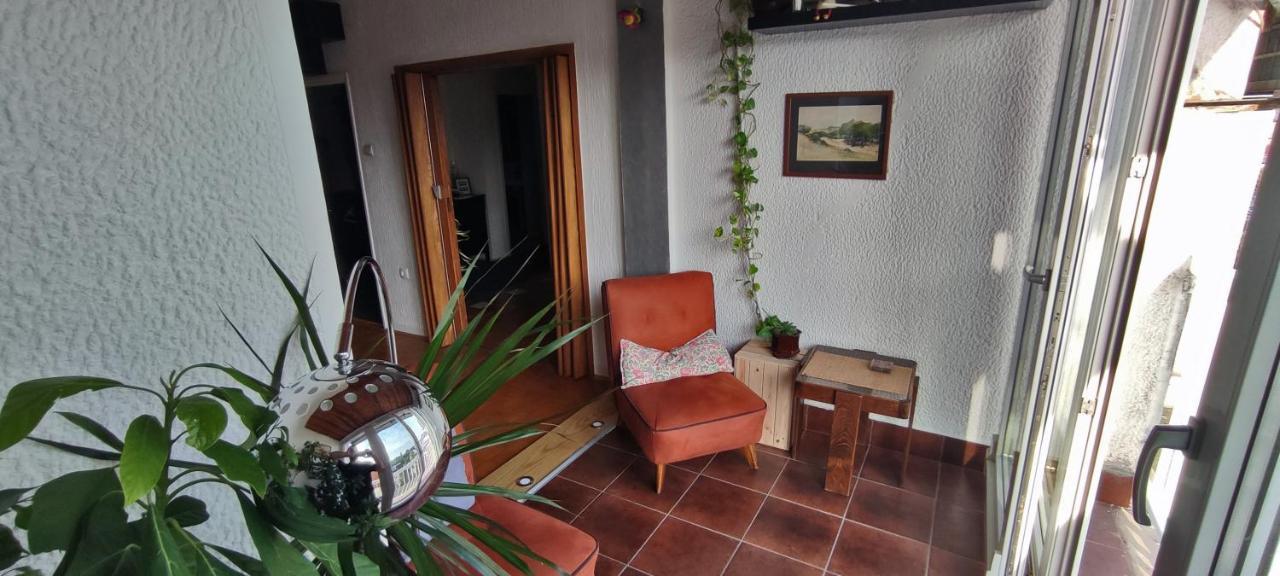 Sokolov Apartment Smederevo Bagian luar foto