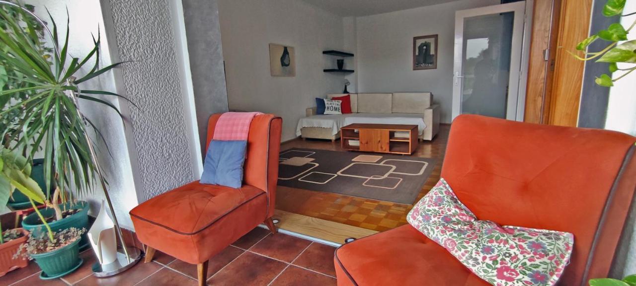 Sokolov Apartment Smederevo Bagian luar foto