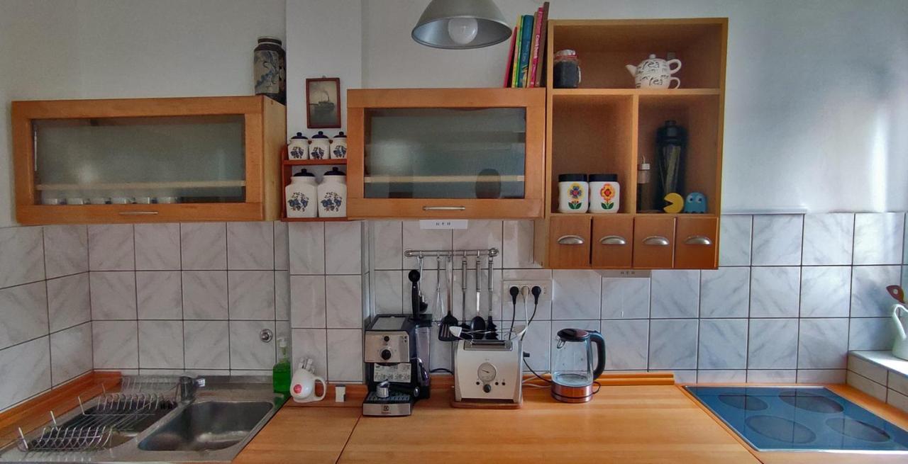 Sokolov Apartment Smederevo Bagian luar foto