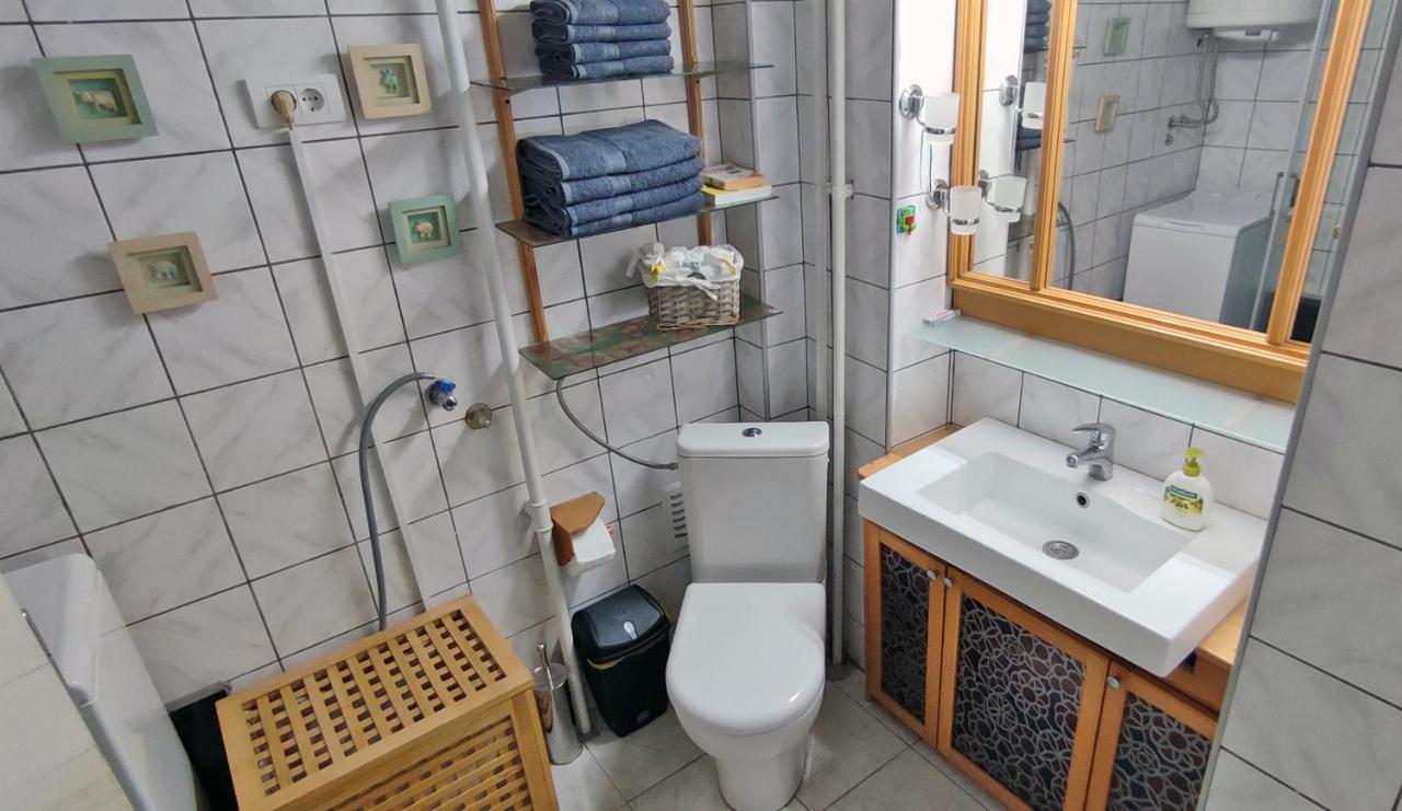 Sokolov Apartment Smederevo Bagian luar foto
